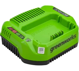 Зарядное устройство G60C Greenworks