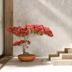 Керамогранит KEA серый 80x80 см