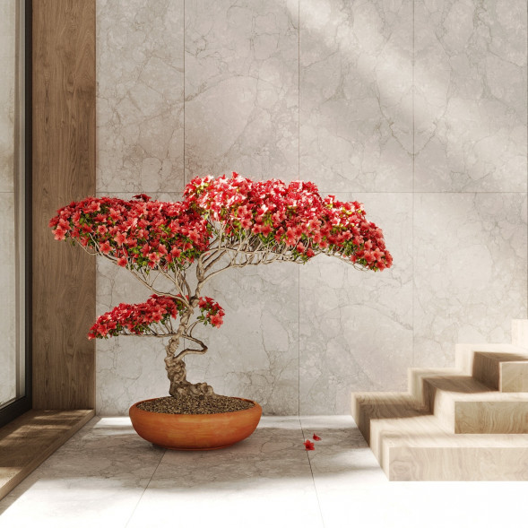 Керамогранит KEA белый 60x120 см