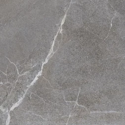 Керамогранит LB CERAMICS Гроза, серый (6461-0424), 60х60