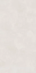 Керамогранит LB CERAMICS Иней, светло-серый (6493-0137), 60х120