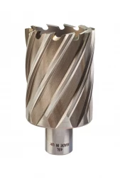 Кольцевая фреза HSS Milwaukee (45х50 мм; Weldon 19) 