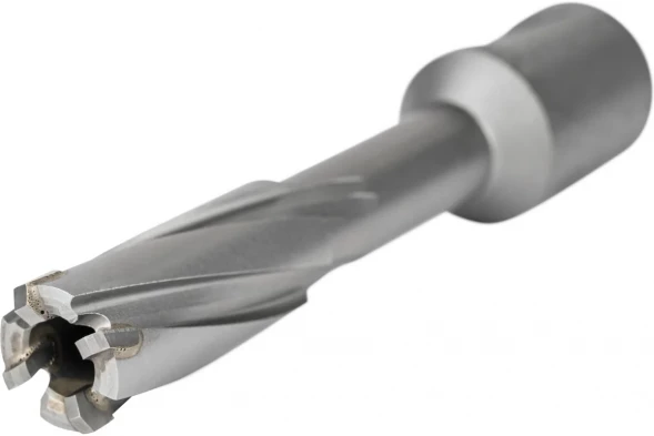 Фреза по металлу ELITECH 14х55мм Weldon 19мм TCT 1110.009500