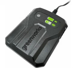 Зарядное устройство Greenworks G24UC2, 24 В