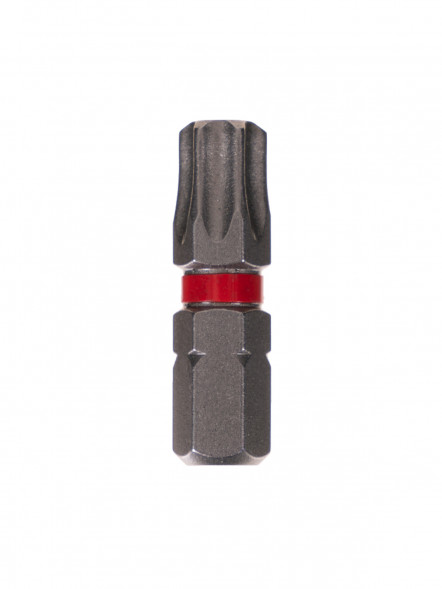 Биты TORX40, 25 мм, 2 шт Elitech 1820.152800